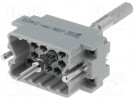 Plug; Connector: rectangular; 516; hermaphrodite; PIN:20; 2kV
