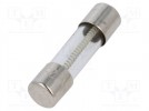 Sicherung: Schmelz; 1,25A; 250VAC; träge; zylindrisch,aus Glas
