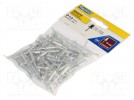 Nit; aluminium; Śr.nitu: 4,8mm; Dł.nitu: 14mm; 100szt.